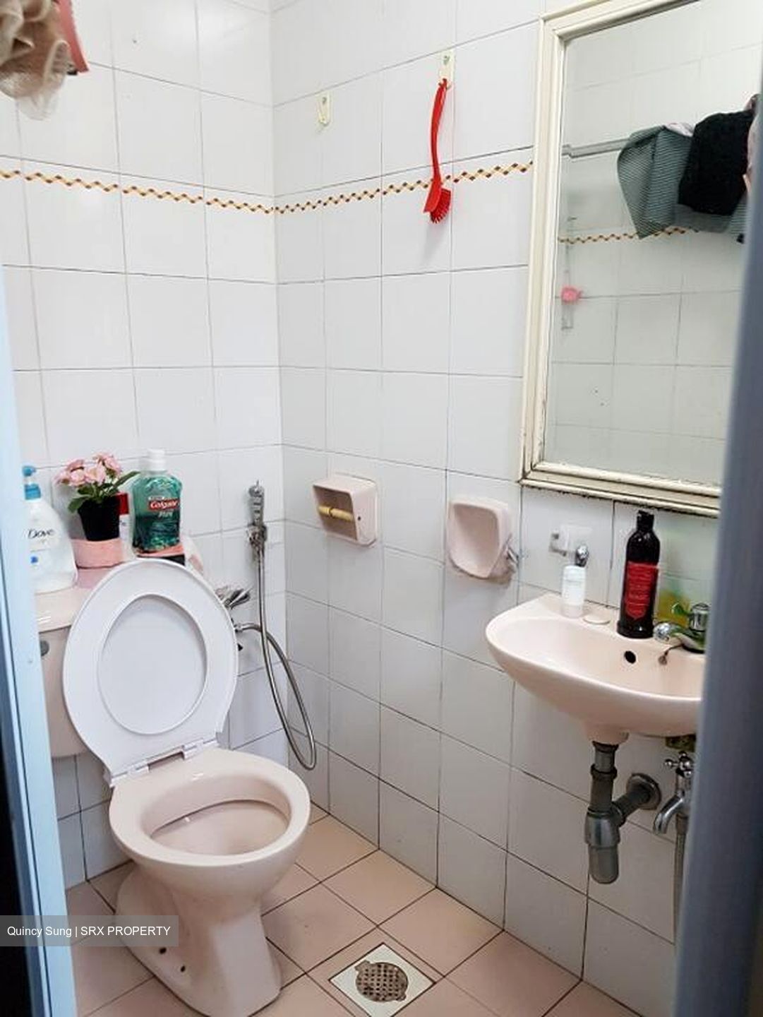 Pasir View Park (D5), Condominium #504455931